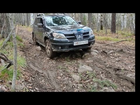 Видео: Жесть, спуск по курумнику. Черная сопка 27.10.24.