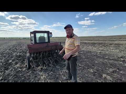 Видео: Забрали пай// сієм гірчицю як сидерат