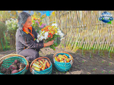 Видео: Жизнь в деревне. Огорода больше нет. Обычная щука превратилась в царское блюдо.