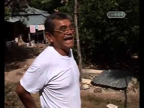 Видео: Мексика 3. Далеко и еще дальше
