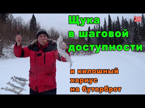 Видео: Ловля щуки недалеко от дома декабрь 2020
