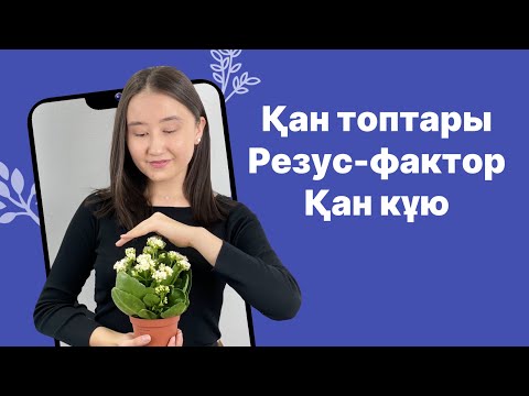 Видео: Қан топтары  Резус фактор  Қан құю. Биология ҰБТ