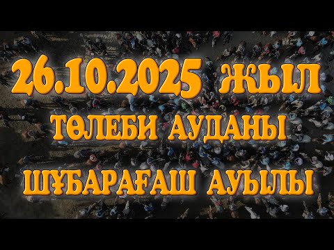 Видео: ТӨЛЕБИ АУДАНЫ ШҰБАРАҒАШ АУЫЛЫ ЖҰМАНОВТАР ӘУЛЕТІНІҢ ЕЛДЕН БАТА АЛУ КӨКПАР ТОЙЫ 26.10.2025ЖЫЛ