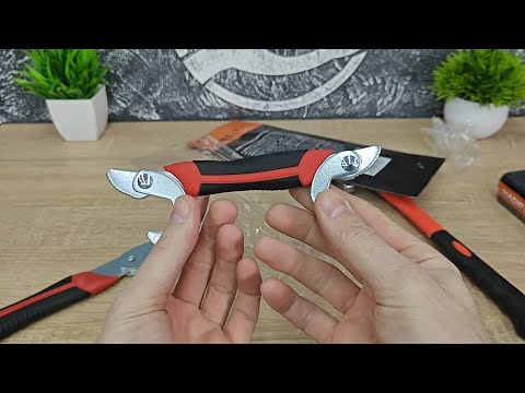 Видео: що можна купити в Аврорі за 356 грн