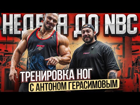 Видео: Неделя до NBC | тренировка ног с Антоном Герасимовым | SPS | Pittsburg Pro