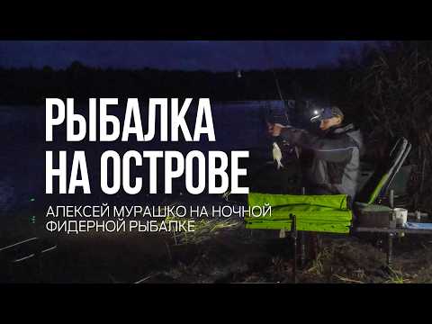 Видео: Ночная рыбалка с фидером на острове! ГЭС подняла воду — клев пошёл!