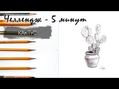Видео: Кактус простым карандашом за 9 минут. Челлендж-пятиминутка. Рисуем регулярно