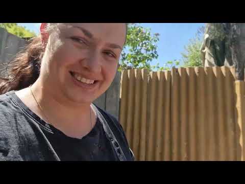 Видео: Как се прави път 🛣️  на село 🏡 + какво следва? #дидоикали #животнасело