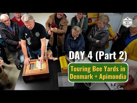 Видео: День 4: Экскурсия по пасекам Дании — Апимондия 2025 (часть 2)