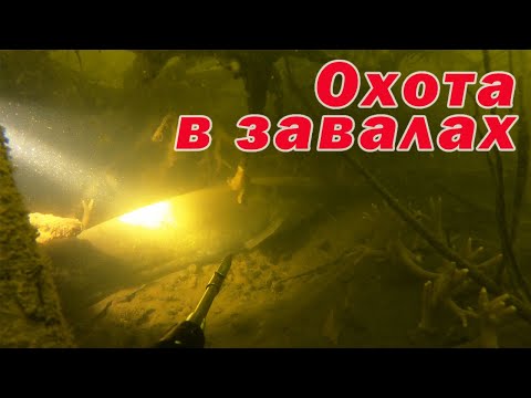 Видео: СОМ! СУДАК! ЩУКА!!! ПОДВОДНАЯ ОХОТА НА ВЕЛИКОМ ДНЕПРЕ!!!