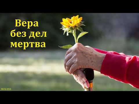 Видео: "Вера без дел мертва". Р. Сафонов. МСЦ ЕХБ.