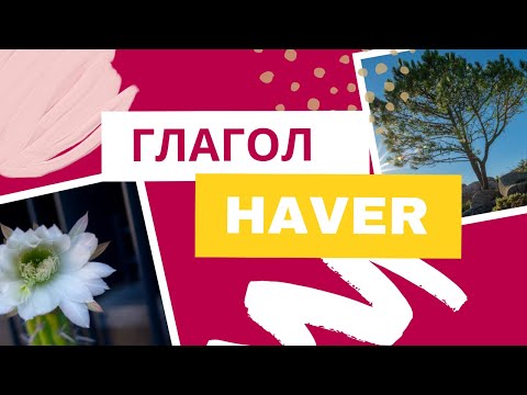 Видео: Португальский глагол haver