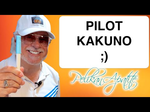 Видео: Распаковка и обзор перьевой ручки Pilot Kakuno 2022 года