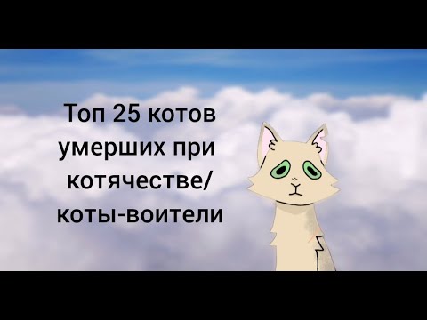Видео: топ 25 котов умерших при котячестве / коты-воители