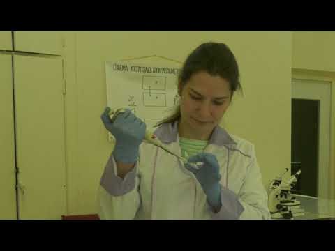 Видео: Выделение плазмидной ДНК.