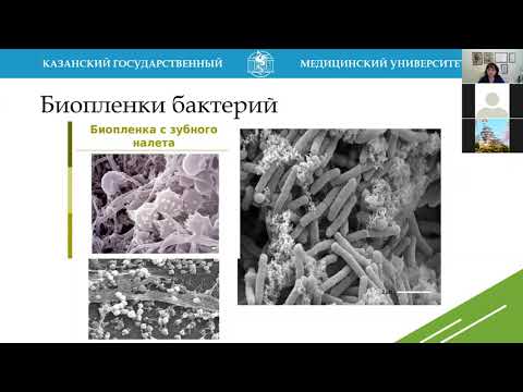 Видео: Г.Ш. Исаева. Микрофлора человека. Лечебный факультет