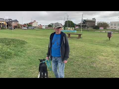 Видео: Аргентина. О нашем месте, о покупке земли и прочее