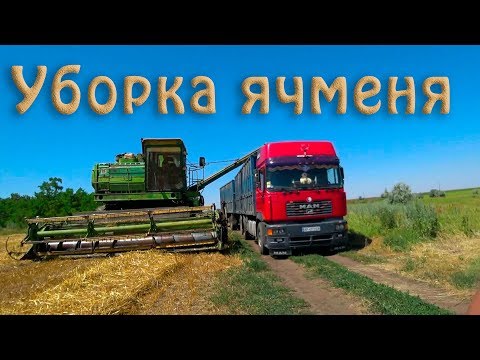 Видео: Уборка 2019! Яровой ячмень. ДОН-1500Б.