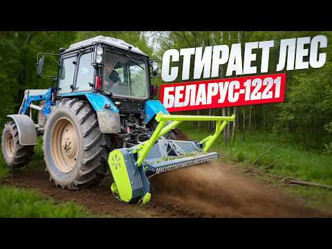 Видео: Беларус-1221 с мульчером NIUBO превращает лес в щепу