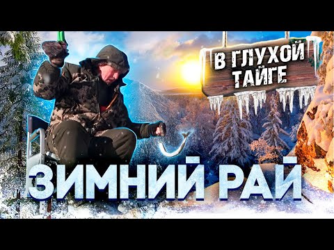Видео: Зимний рай в глухой тайге