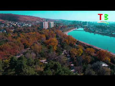 Видео: ЗНАК Садриддина Айни Сад