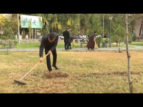 Видео: «Таза Қазақстан»: эковолонтёры Жетісу участвовали в 1100 субботниках