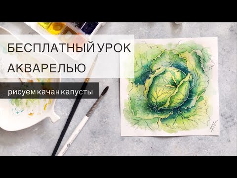 Видео: Кочан капусты АКВАРЕЛЬЮ / Как легко рисовать акварелью?