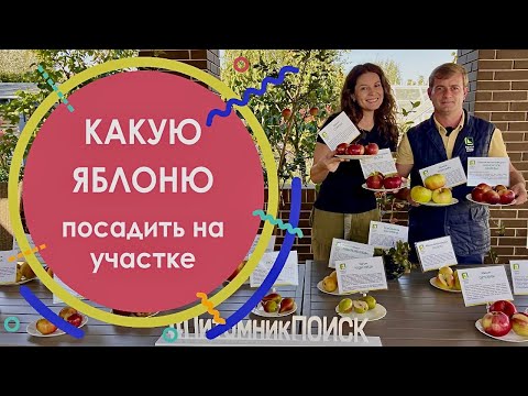 Видео: Какую яблоню посадить на участке? Выбор сорта яблони для любимого сада