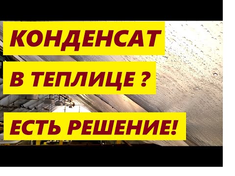 Видео: КОНДЕНСАТА В ТЕПЛИЦЕ НЕ БУДЕТ! РАСТЕНИЯ БУДУТ СУХИЕ! ПРОВЕРЕННО!