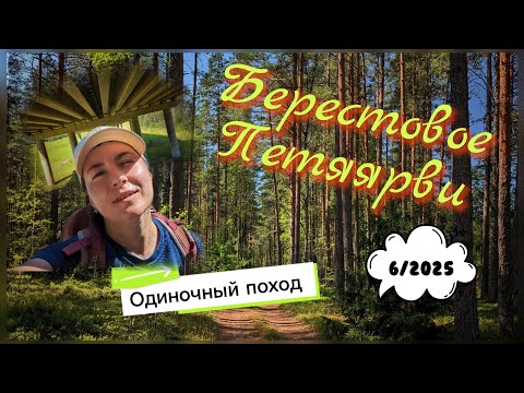 Видео: Озера Петяярви: Берестовое и Дубовое. Одиночный летний поход.