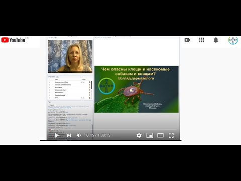 Видео: Л. Николаева. Вебинар по теме: "Чем опасны клещи и насекомые собакам и кошкам - взгляд дерматолога"