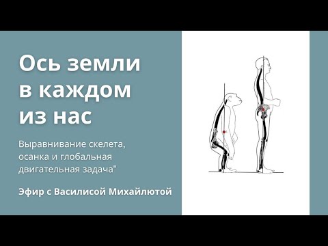 Видео: Вебинар Ось земли