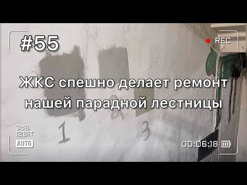 Видео: Нас опередили! ЖКС без предупреждения начали делать косметический ремонт парадной лестницы