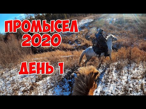 Видео: Промысел 2020. День 1. Как оседлать коня
