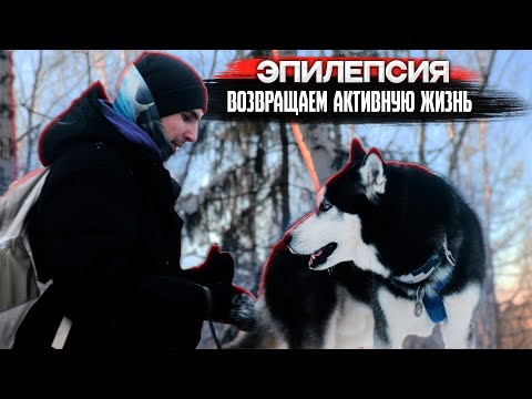 Видео: ЭПИЛЕПСИЯ У СОБАКИ | ПЕРВЫЙ ПОХОД ПОСЛЕ ДИАГНОЗА