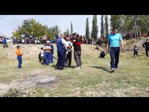 Видео: ЖОРОЕВ СЫЙМЫК АКСЫ ТОРУК АЛЫШ КУРОШ🤼(1)