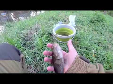 Видео: Дикая рыбалка‼️‼️‼️🎣