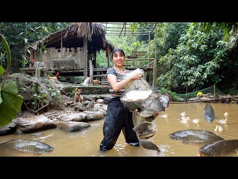 Видео: Новые идеи для курятников - Экстренная заготовка рыбы после шторма | Ана Бушкрафт