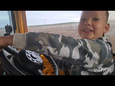 Видео: 26 августа 2025 г.