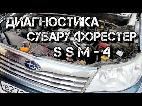 Видео: ✅  Диагностика Subaru Forester SSM4