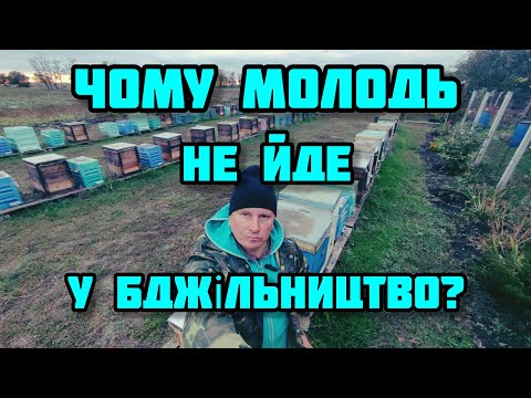 Видео: ✅Який середній вік практикуючого пасічника?