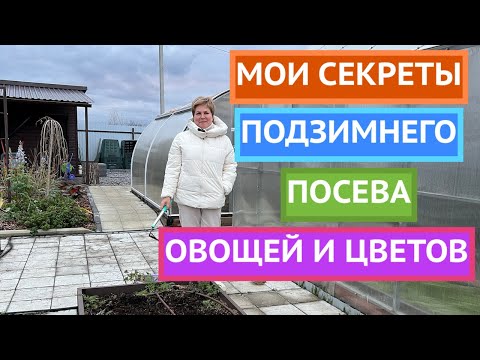 Видео: СМЕЛО СЕЙТЕ ЭТИ КУЛЬТУРЫ ПОД ЗИМУ И ПОЛУЧИТЕ УРОЖАЙ РАНЬШЕ ВСЕХ!