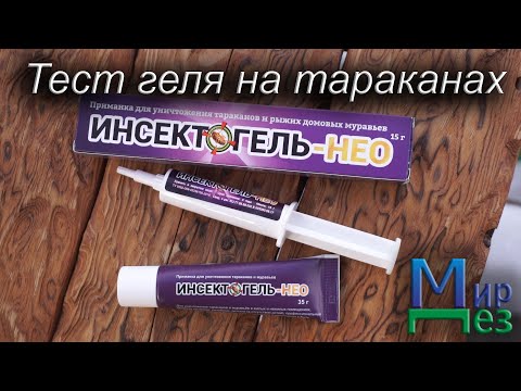 Видео: Гель от тараканов. Инсектогель НЕО. Тест от МирДез