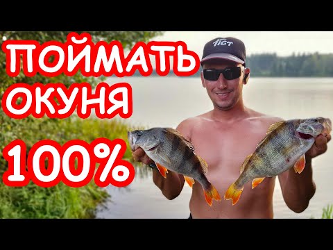 Видео: Лёгкий способ поймать рыбу. Отводной поводок. Хитрый монтаж на окуня