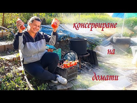 Видео: Живот на село: Как се приготвят домати за зимата? Споделяме нашия начин