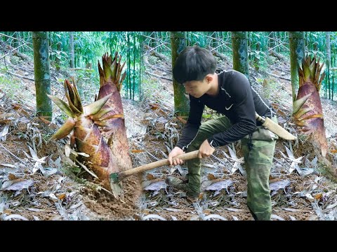 Видео: Отправляйтесь на сбор леса. Большие побеги бамбука. В конце сезона отправляйтесь на продажу на рынок