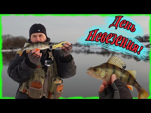 Видео: День невезения! Зимний микроджиг на Москва реке