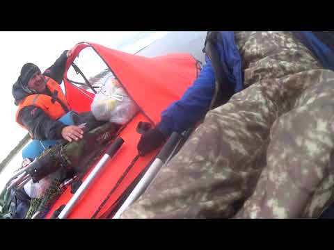 Видео: ДОЛГОЖДАННАЯ РЫБАЛКА, 320 КМ
