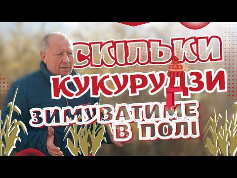 Видео: СКІЛЬКИ КУКУРУДЗИ🌽 ЗАЛИШИТЬСЯ ЗИМУВАТИ❄️ В ПОЛІ🤔