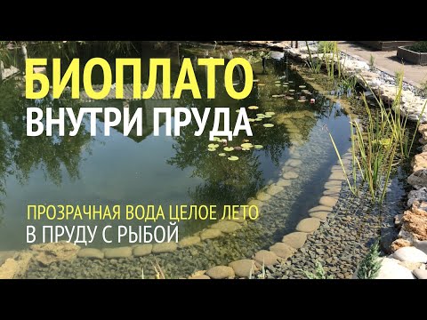 Видео: БИОПЛАТО ВНУТРИ ПРУДА.  Чистая и прозрачная вода в пруду с рыбой без фильтра с помощью биоплато!